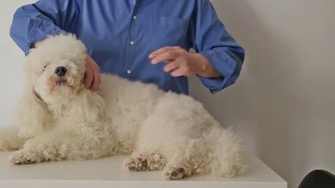 Sequence 01 57 Stockbeeldmateriaal 72607404