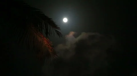 Sequence 01 Stock Footage 31979185