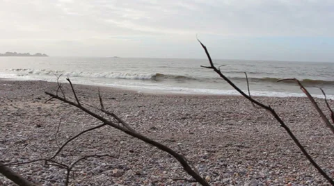 Sequence 01 動画素材 34555017