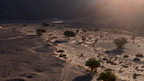 Sequence 01 Video stock 301113078