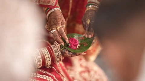 Sequence 02 11 Stock Footage 340347154