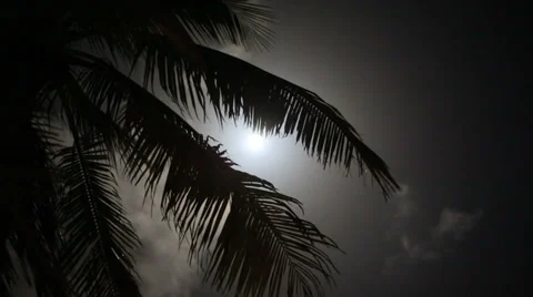 Sequence 02 Video stock 31979193