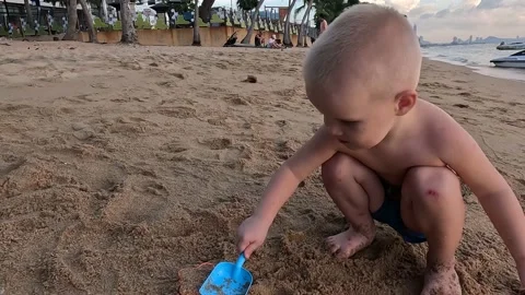 Sequence 02 Stock Footage 224015080