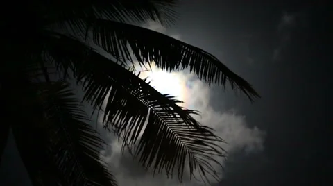 Sequence 03 Stock Footage 31979194