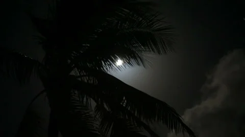 Sequence 04 Video stock 31979199