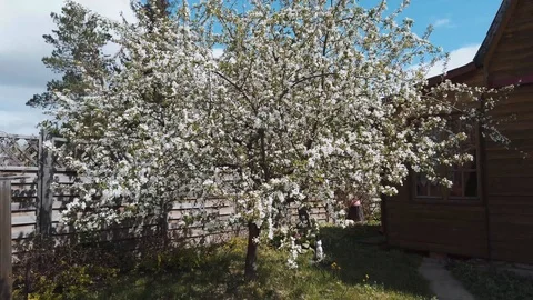 Sequence 04 Video stock 108736459