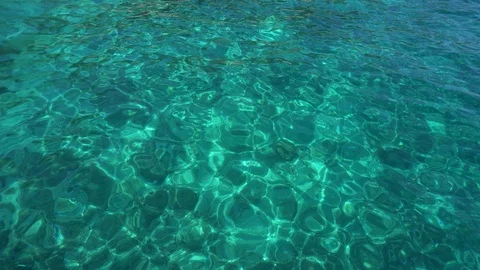 Sequence 05 1 Stock Footage 124492747
