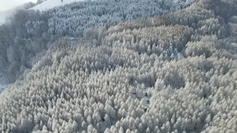 Sequence 07 13 Stock Footage 169929773