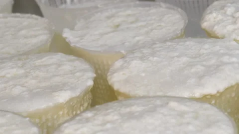 Sequence 09 23 Stock Footage 130881780