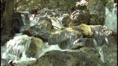Sequence 13the water of a stream descends among the rocks in the forest Stock Footage 140915113
