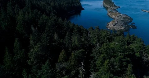 Sequence 2 Stock Footage 91373980