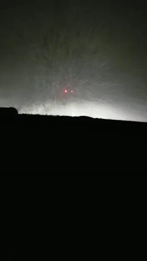 Sequence 3 driving in  winter storm Stock Footage 222146361