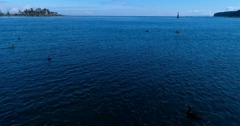 Sequence 4 Stock Footage 91374165