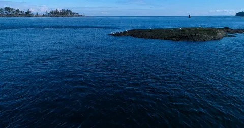 Sequence 5 Stock Footage 91374147