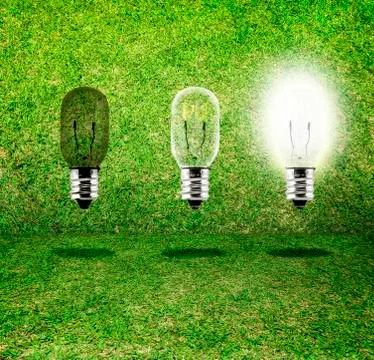 Sequence of Creative idea,three bulb in grass room,eco idea Stock Photos