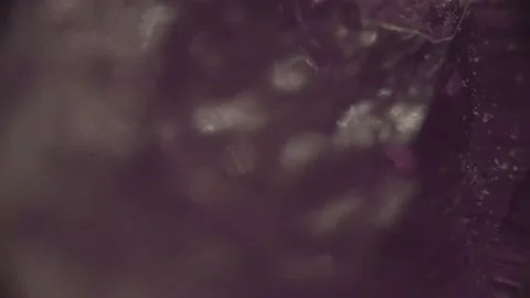 Sequence Crystal Under Microscope 4K Super Magnification Stockbeeldmateriaal 237700935