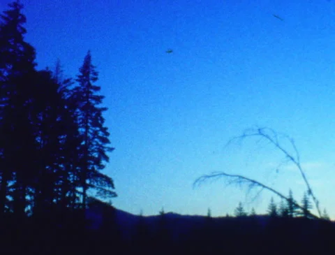 Sequence: Dark trees on horizon at twilight, sunset, vintage film (Super 8) 動画素材 259745096