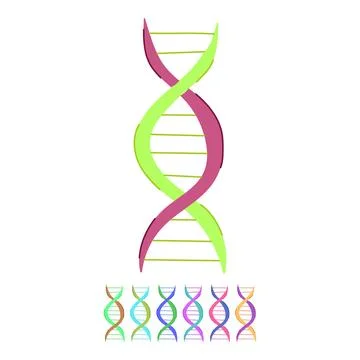 Sequence dna spiral vector cartoon graphic Stock Illustration