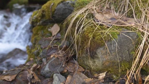 Sequence of dolly shot of waterfall in forest with logs and mossy rocks and l Stock Footage 85102455
