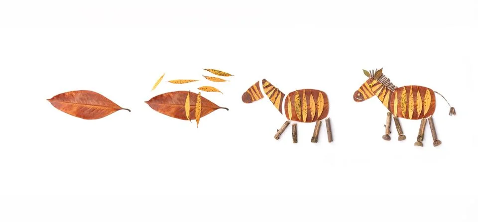 Sequence of four steps artistic using leaves, whole leaf, body shape, zebra.. Stock Photos