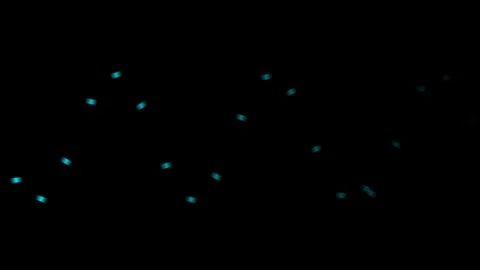 A sequence of glowing cyan light dots arranged in a wave pattern on black Video stock 335117221