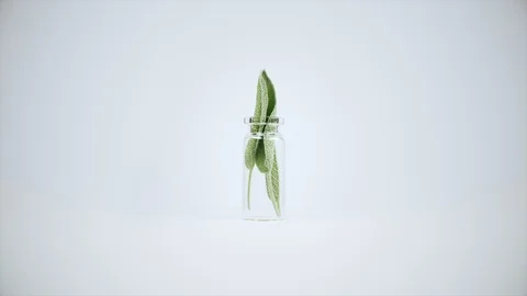 Sequence of green sage &amp; chives in a small bottle rotating on white, loopable Stock Footage 95034512