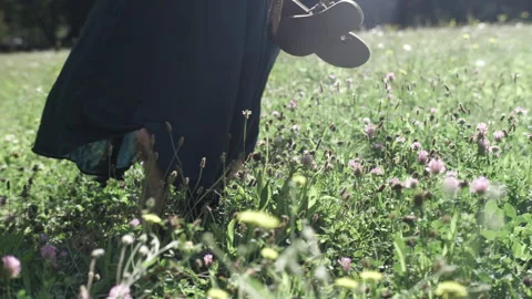 Sequence imbriquee 64 (1) Stock Footage 288969518