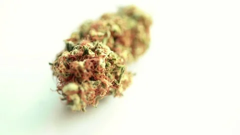 Sequence of marijuana buds Stock Footage