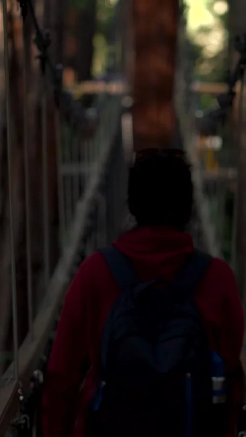 Sequence shot of tourist walking on a suspension bridge. Hand held camera e.. Stock Footage 290129989