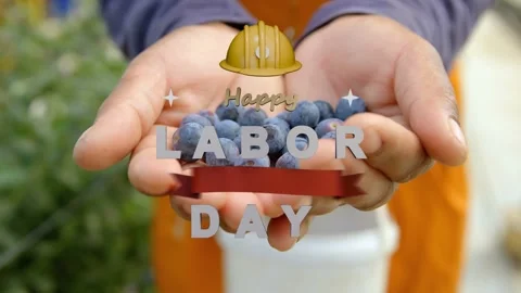 Sequence starting hands holding berries, overlay assembling LABOR DAY, ribbon Stockbeeldmateriaal 340654701