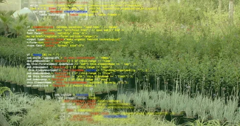Sequence starting with JavaScript code scrolling fading on grass camera panning Stock Footage 315891570
