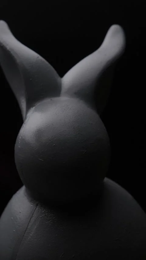Sequence Surreal Gray Rabbit Spinning on Black Backdrop Stock Footage 303764286