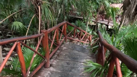 Sequence through a tropical rustic wooden bridge in the jungle. Stock Footage 229738722