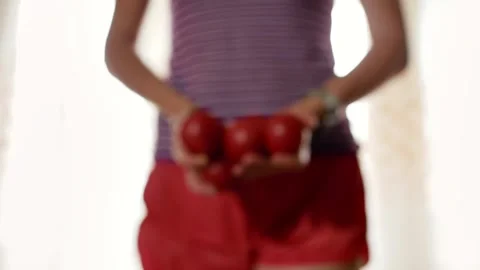 Sequence of videos about red fresh tomatoes. Stock-Footage 133063547