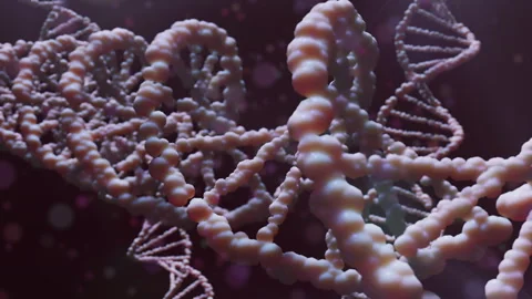 Sequencing dna structure for genome code health with magnification technology Stock Footage 254941106