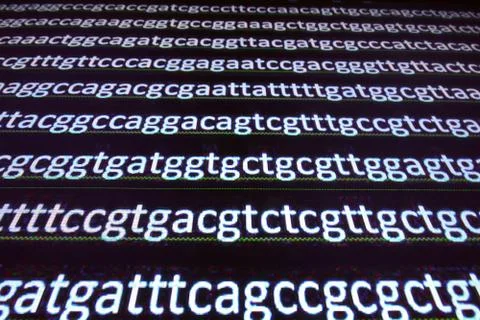 Sequencing the gene. Stock Photos