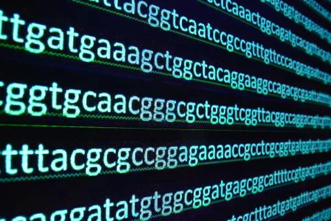 Sequencing of the genome in the laboratory. Stock Photos