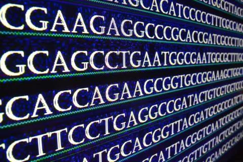 Sequencing of the genome in the laboratory. Stock Photos