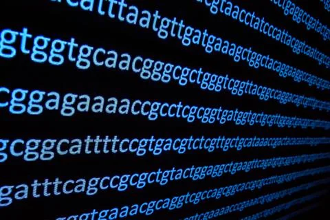 Sequencing the genome. Stock Photos