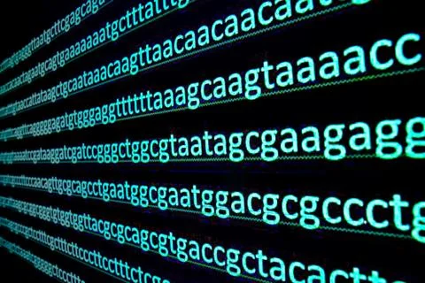 Sequencing of the genome. Stock-Fotos
