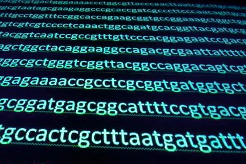 Sequencing the genome. Stock Photos