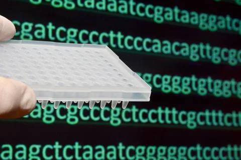 Sequencing the genome. Stock Photos