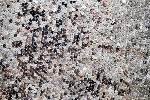 Sequin fabric texture. Shiny silver sparkling background. Clothing piece of Stock Photos