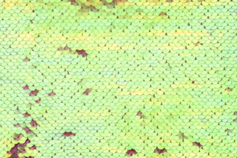 Sequins background. Background with shiny sequins on fabric.  Stock Photos