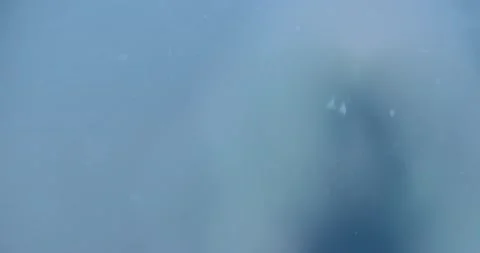 Sequins float in the water Stock Footage 166650427