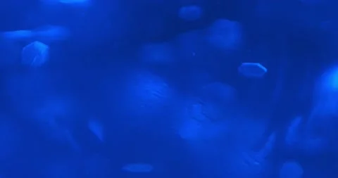 Sequins float in the water Stock Footage 166653840