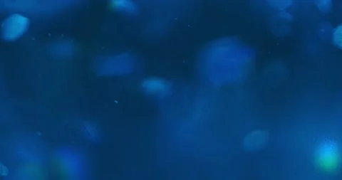 Sequins float in the water Stock Footage 166653878