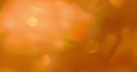 Sequins floating in a liquid highlighted in orange Stock Footage 166653905