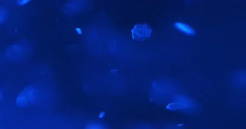 Sequins floating in a liquid illuminated by blue color Stock Footage 166650392