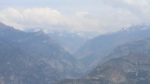 Sequoia 003 PJPEG 1920x1080 30fps Stock Footage